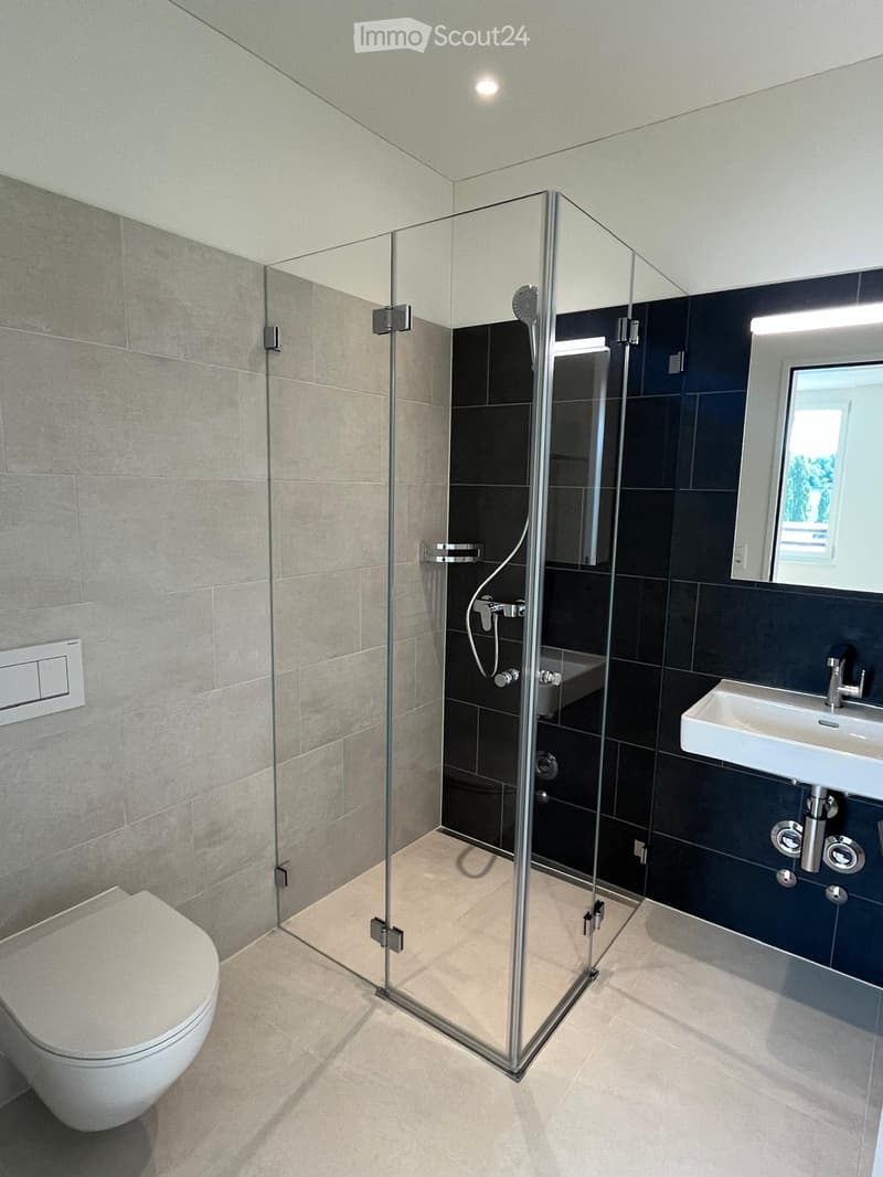 Modern bathroom with a glass-enclosed shower, toilet, sink, and mirror. The walls are tiled in gray and black, and the floor is light beige.