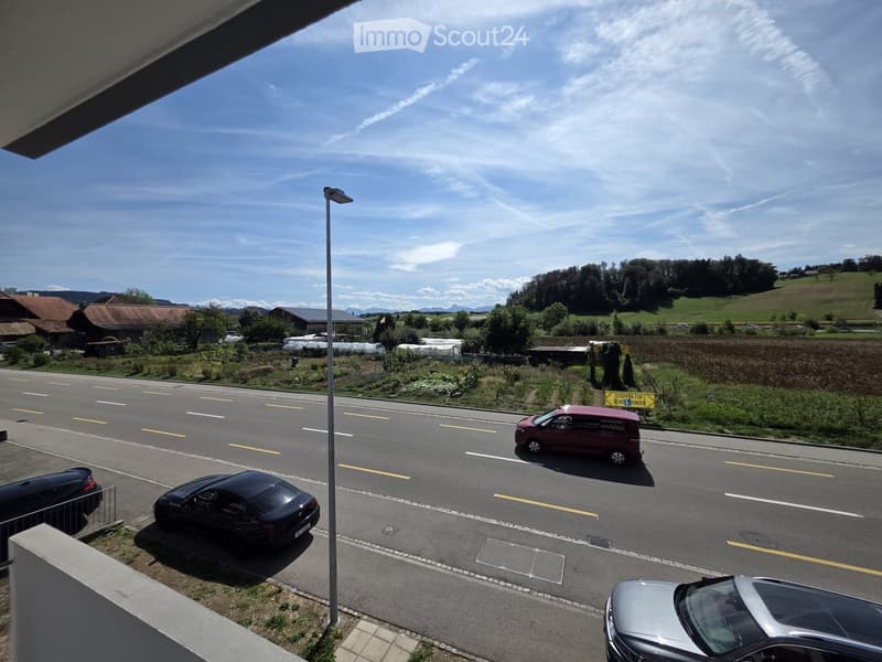 Balcony view showing a road with cars, a sidewalk, a streetlight, and a rural landscape with fields and houses in the background.