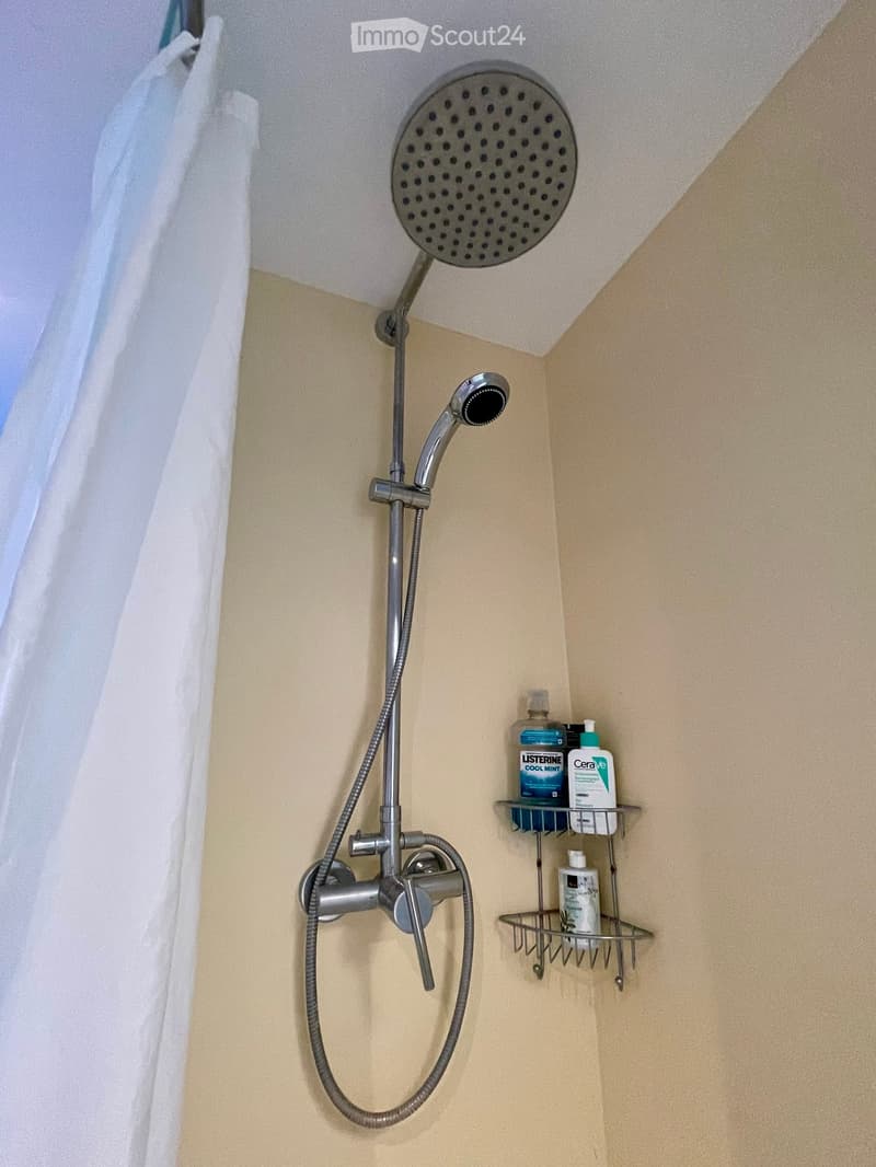 Shower area with a handheld showerhead, overhead showerhead, and a metal shower rack holding toiletries.
