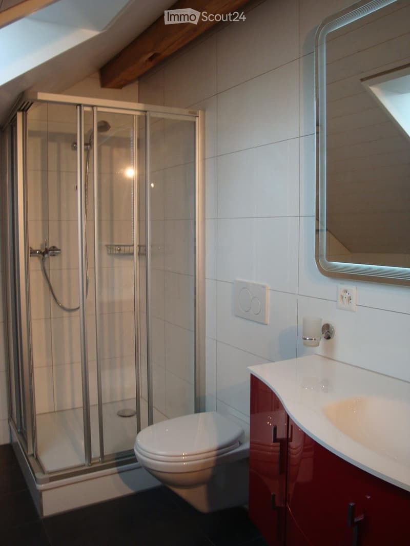 Modern bathroom with a glass-enclosed shower, toilet, sink with a red cabinet, and a large mirror above the sink.