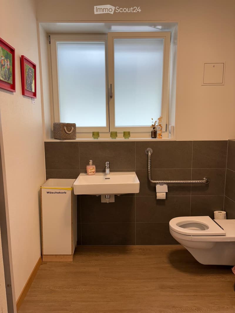 Modern bathroom with a sink, toilet, handrail, and decorative items on the windowsill.