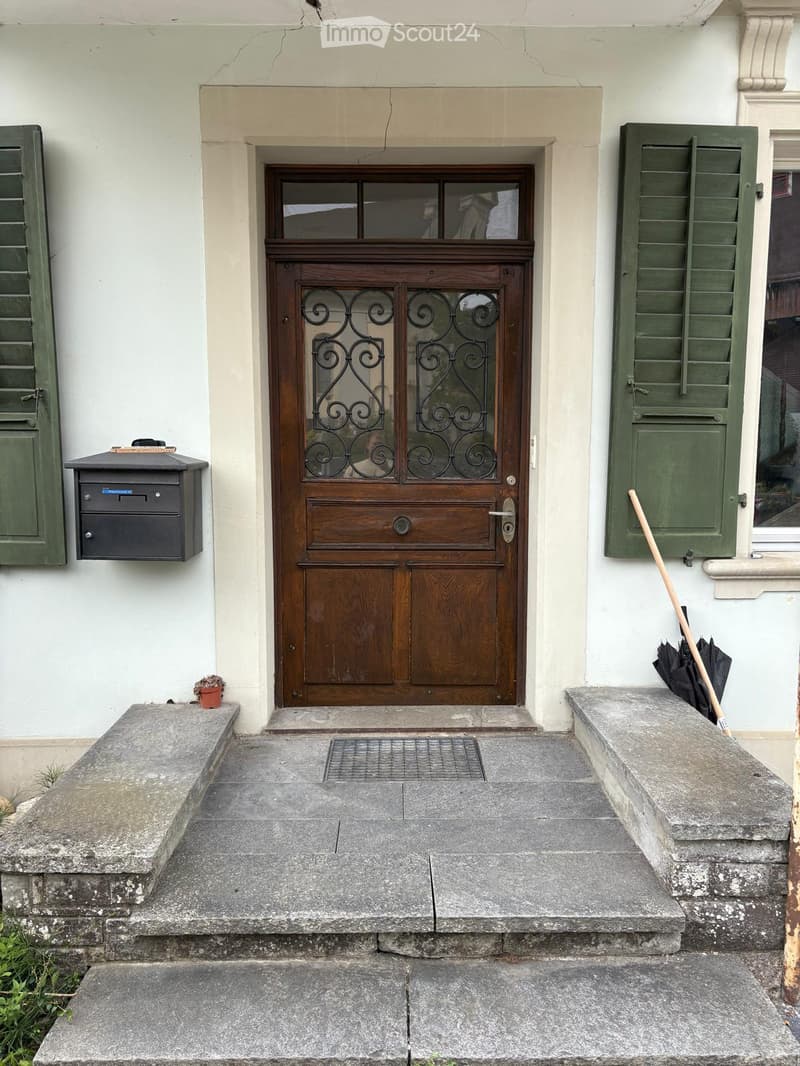 Entrance to a building with a wooden double door featuring glass panels, flanked by green shutters, a small mailbox, and a small potted plant on the left. A broom and umbrella are placed near the right shutter.