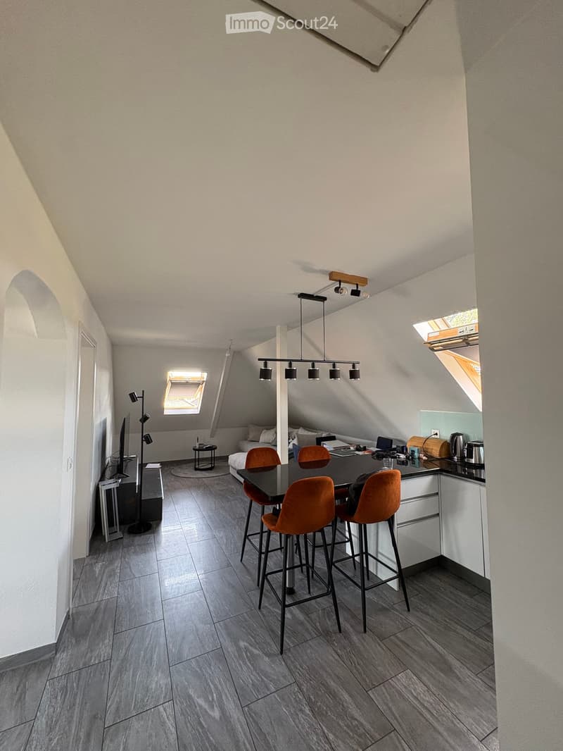 Open-plan living and dining area with modern furniture, including a dining table with chairs, a kitchen counter, and a television area with a floor lamp.