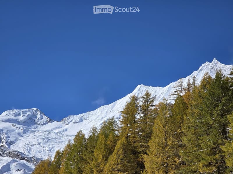 A scenic mountain landscape with snow-capped peaks and dense evergreen trees in the foreground.