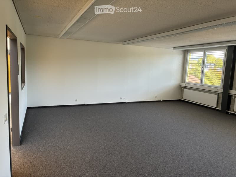 Empty room with white walls, grey carpet, large window with blinds, radiator, and open door leading to another space.