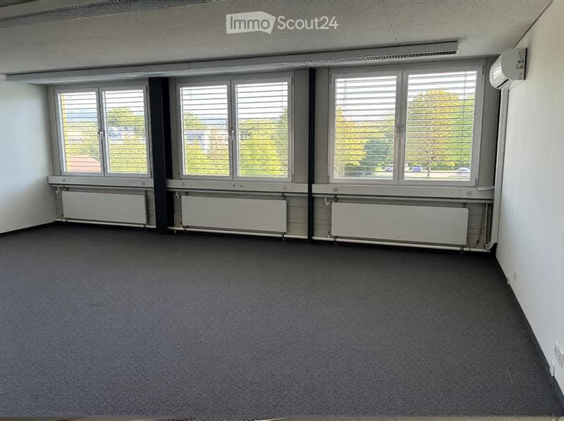 Empty room with carpeted floor, large windows with blinds, radiators beneath windows, and white walls.