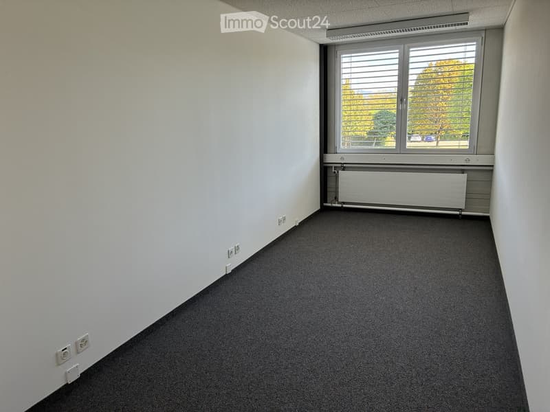 Empty room with white walls, dark carpet, large window with blinds, radiator, and electrical outlets.