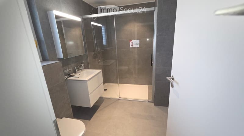 Modern bathroom with a white sink, mirror, toilet, and a glass-enclosed shower area.