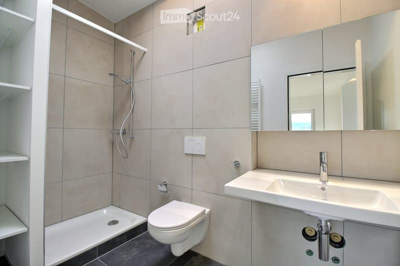 Modern bathroom with beige tiled walls, a white toilet, a sink with a mirror, a shower area, and built-in shelves.
