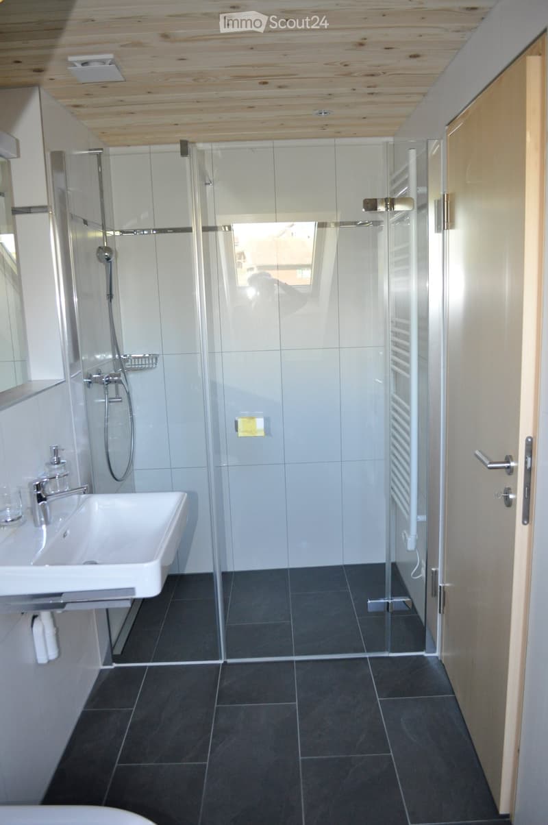 Modern bathroom with a white sink, glass shower enclosure, dark tiled floor, and wooden ceiling.