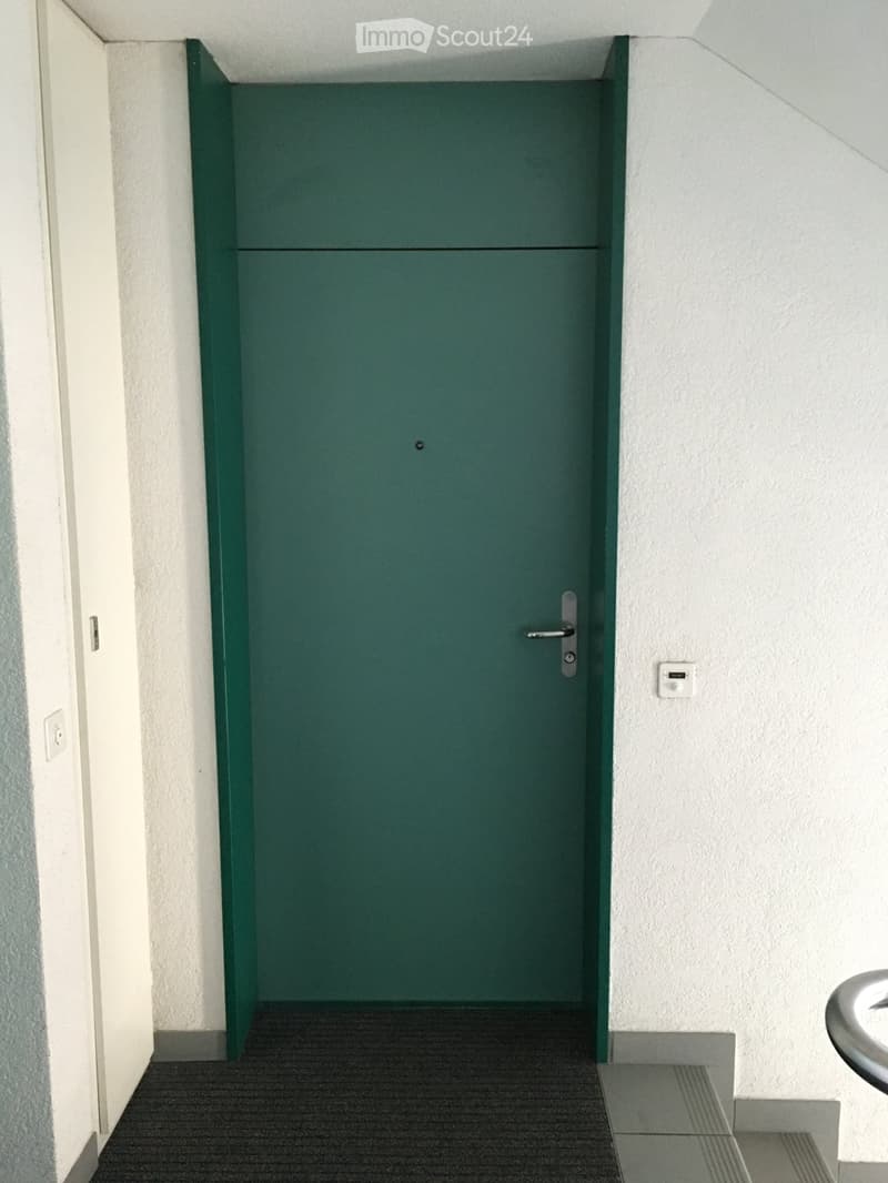 A narrow hallway with a green door, white walls, and a dark carpeted floor.