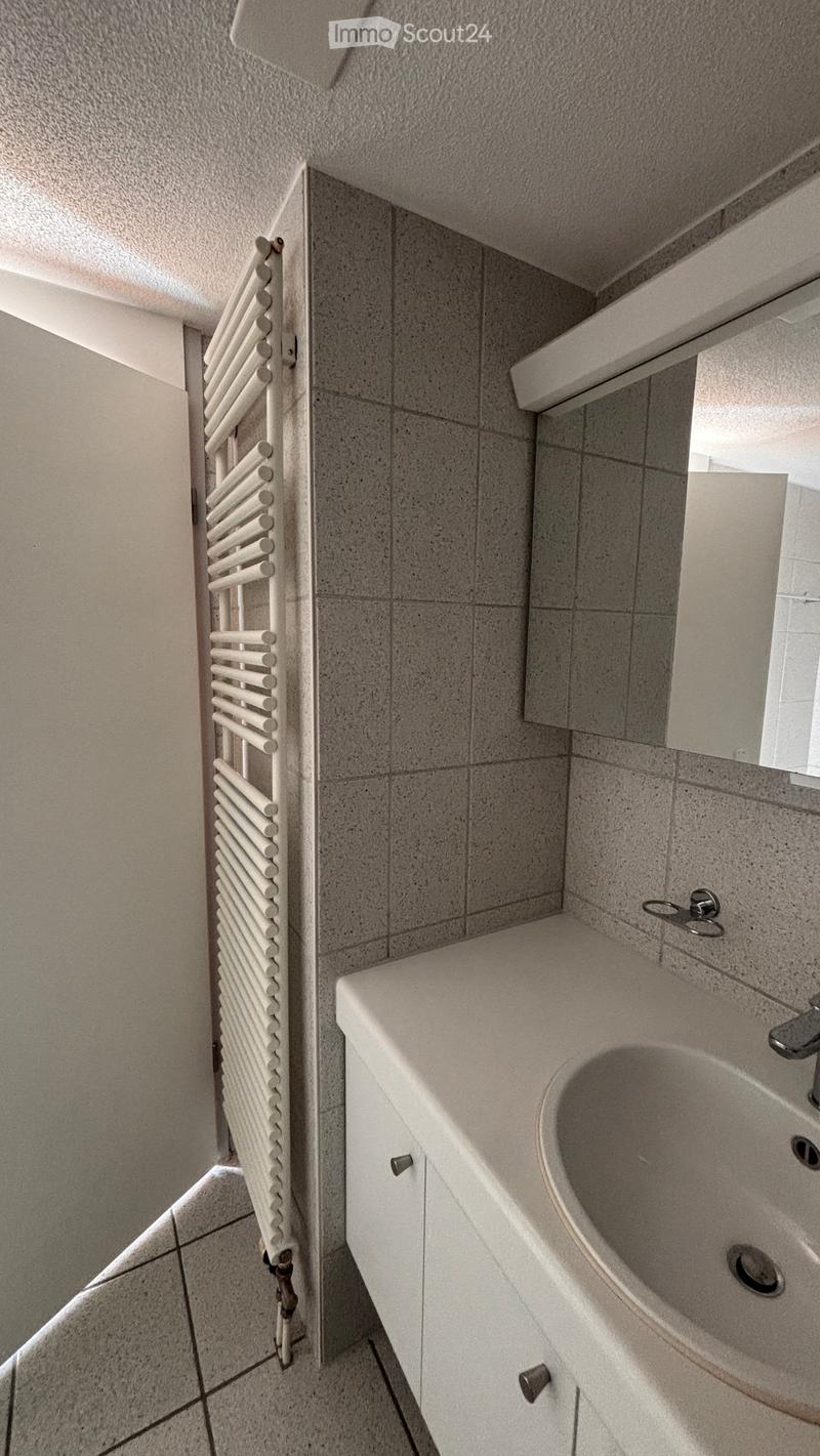Bathroom with a white sink, faucet, and radiator on the wall.