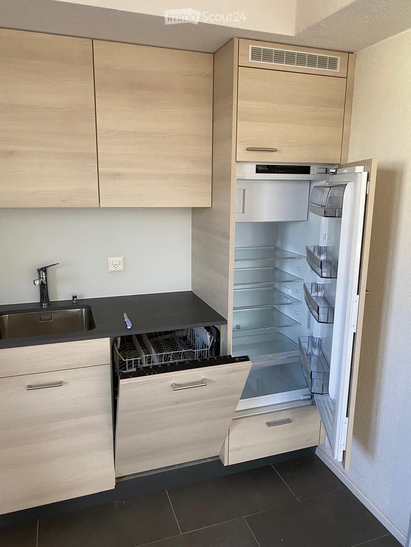 {"type": "Kitchen", "objects": ["sink", "faucet", "dishwasher", "refrigerator", "cabinets"], "description": "Modern kitchen with light wooden cabinets, stainless steel sink, dishwasher, and open refrigerator. The floor is dark tiled, and the walls are lig