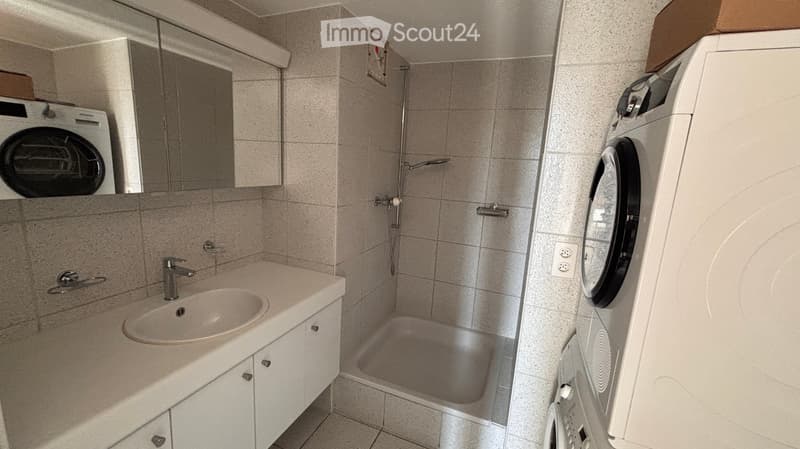 Modern bathroom with a sink, mirror, shower, and a private washing machine and dryer unit.