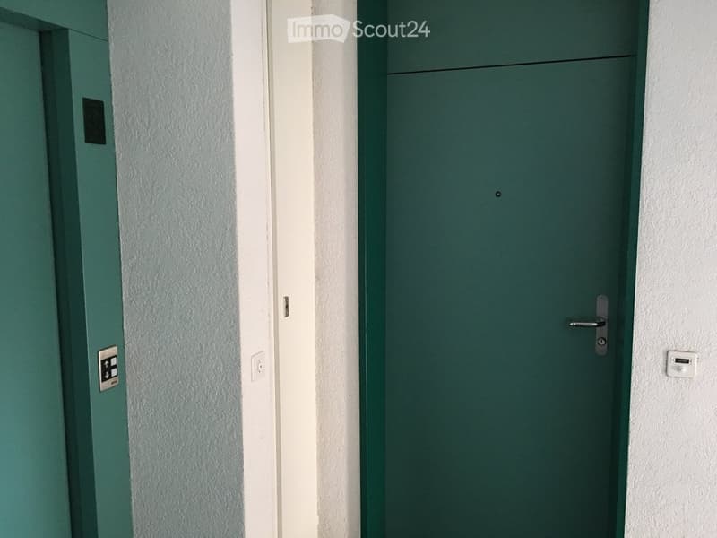 A hallway with a green door and a white wall, featuring a light switch and a door handle.