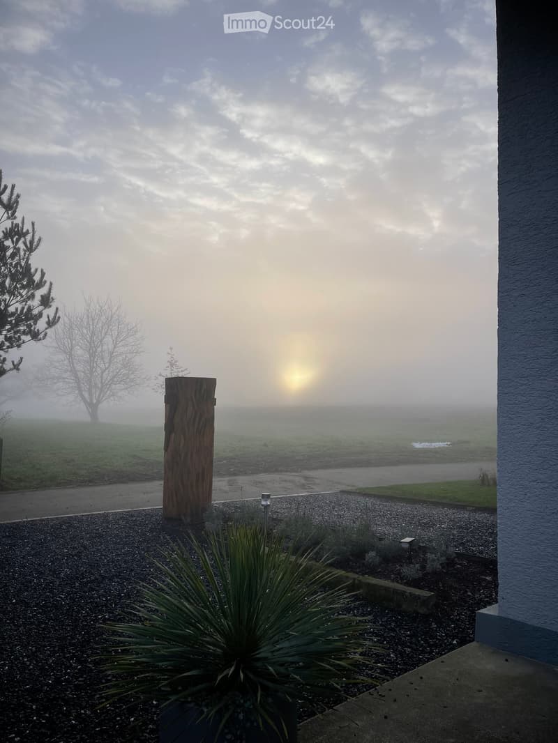 Garden area with gravel, small plants, wooden post, and a view of a misty field with trees and a setting sun.