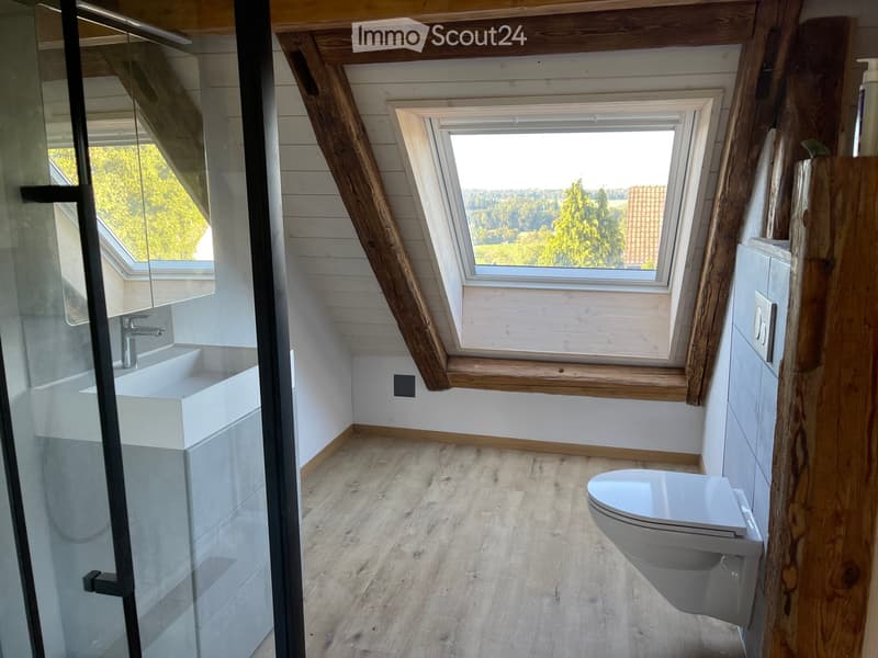 Modern bathroom with wooden beams, skylight windows, white sink, and toilet.