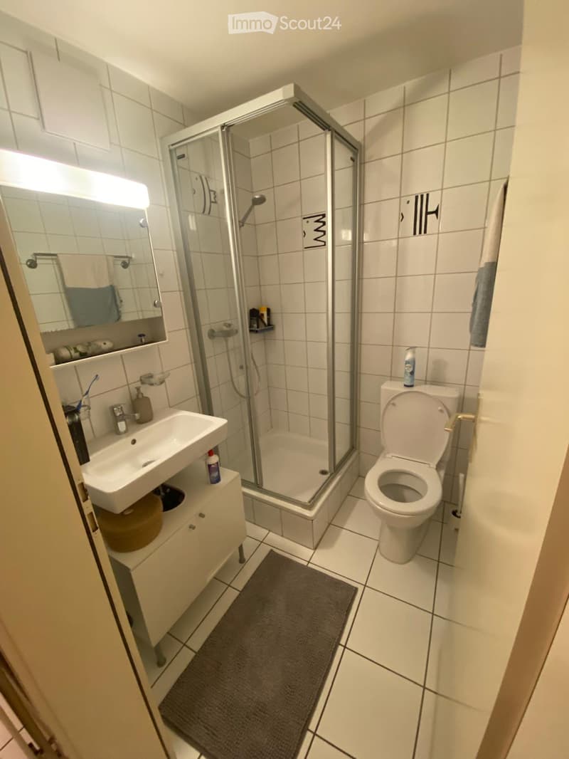 Modern bathroom with white tiles, a glass-enclosed shower, a sink with a cabinet, a toilet, and a mirror with shelves. A gray bath mat is on the floor.