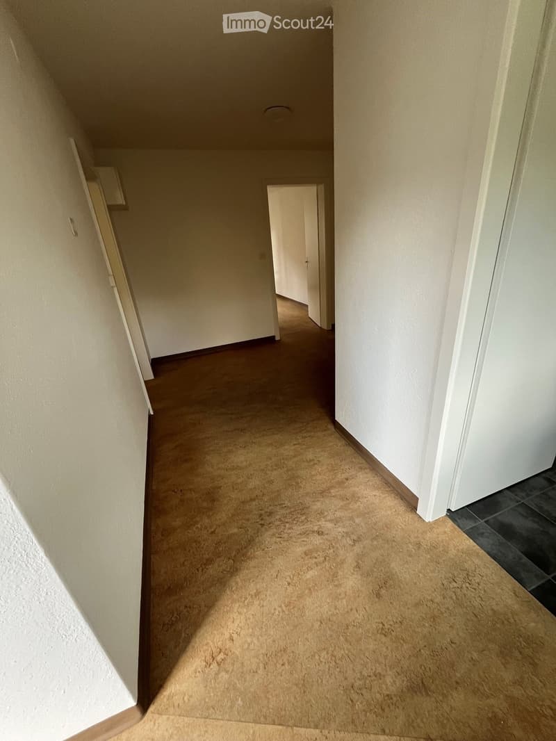 Empty hallway with beige carpeting and white walls, featuring a door at the end and a small closet on the left side.
