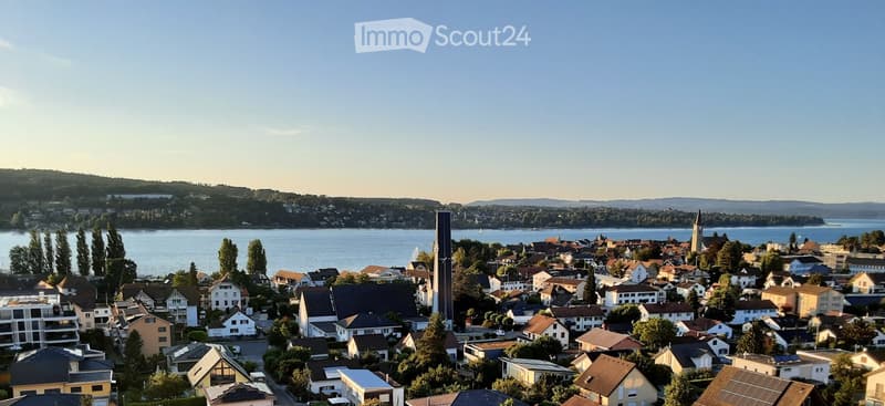 Aerial view of a town with houses, a church tower, and a lake in the background.