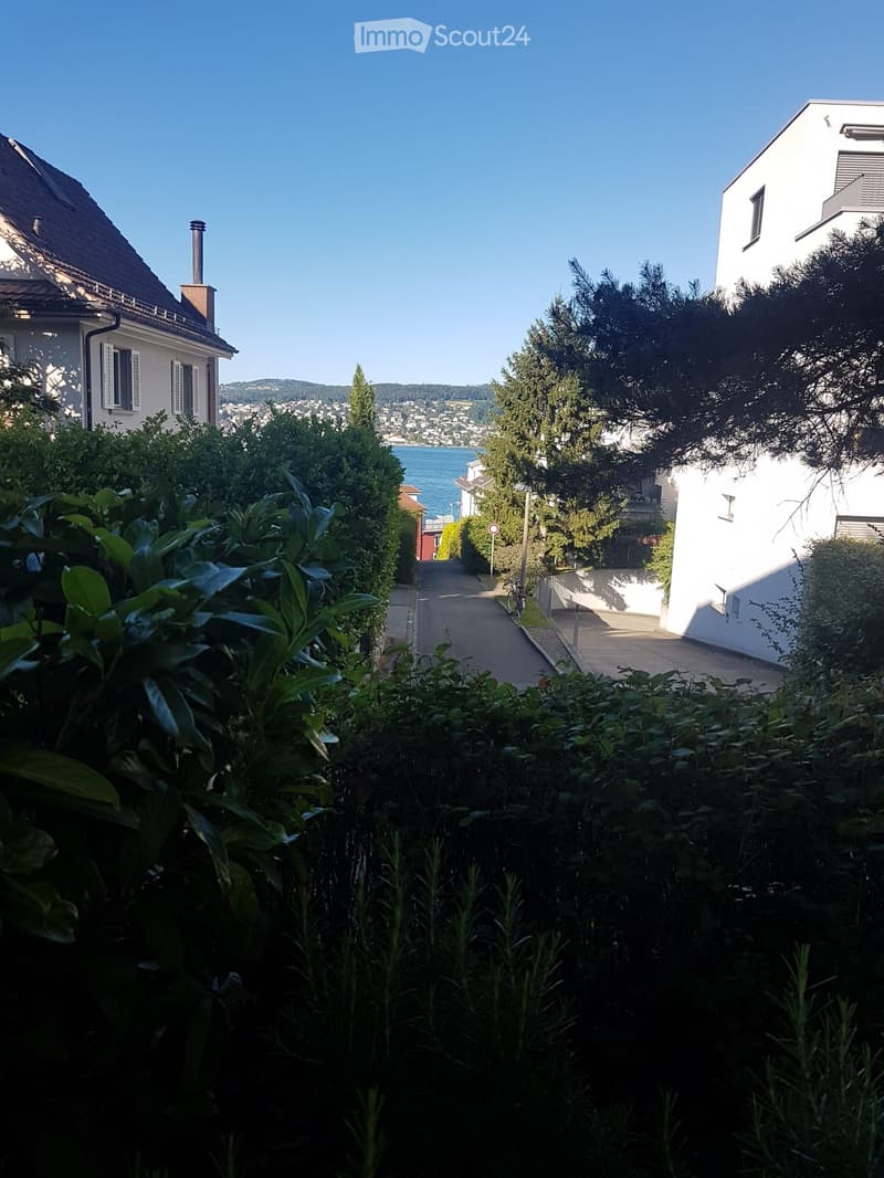 A narrow pathway lined with greenery leads to a view of a body of water and distant hills, with houses on either side.