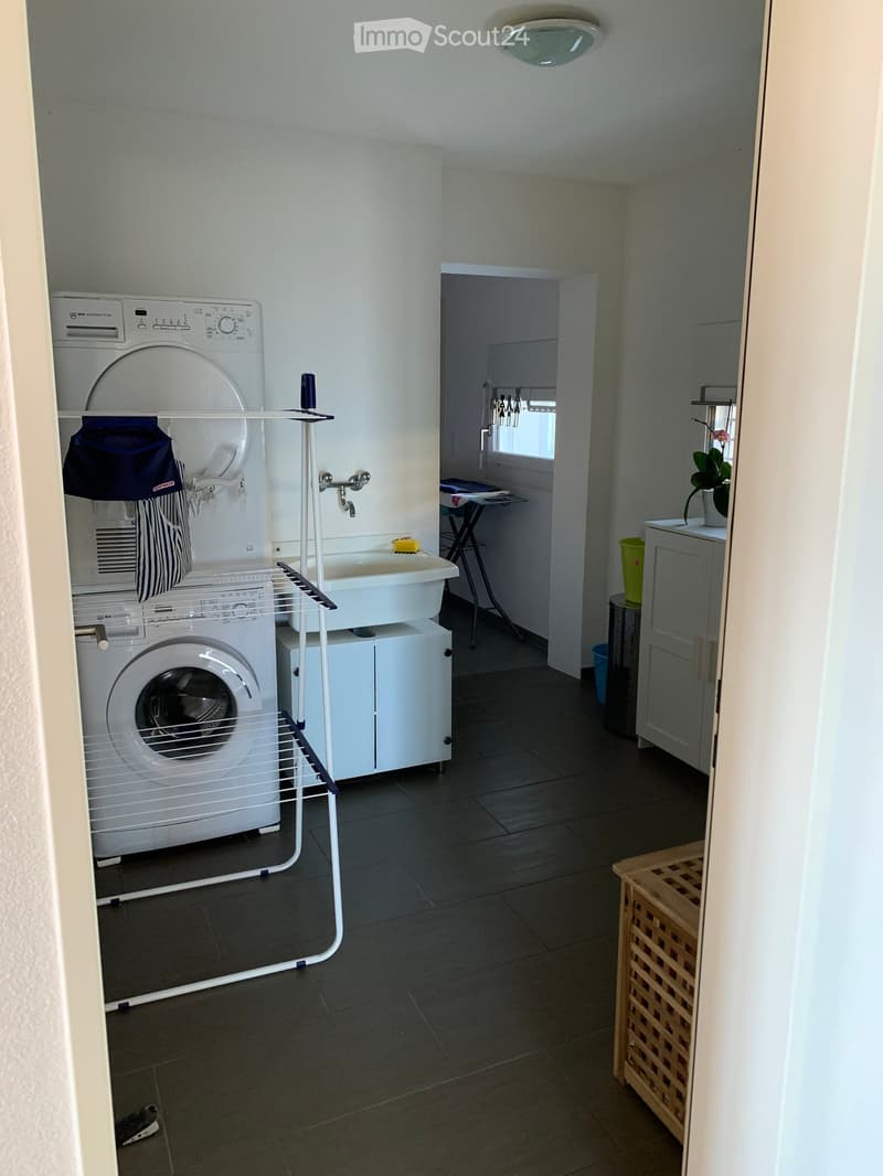 Modern bathroom with a washing machine, a small bathtub, a wooden stool, a laundry rack, and a flower pot on a cabinet.