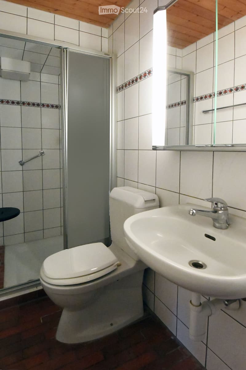 small bathroom with toilet, sink, and shower