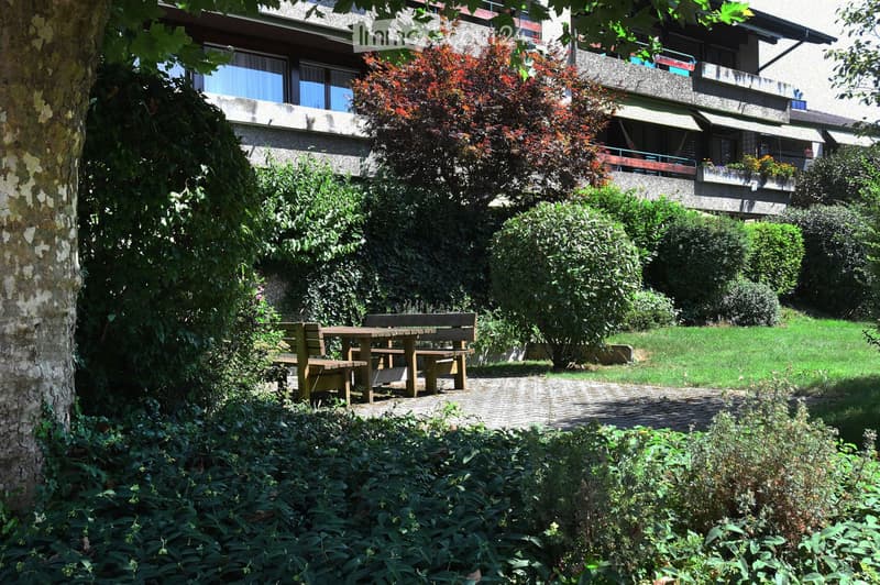 Small garden with grass, a wooden table and bench, surrounded by shrubs and trees