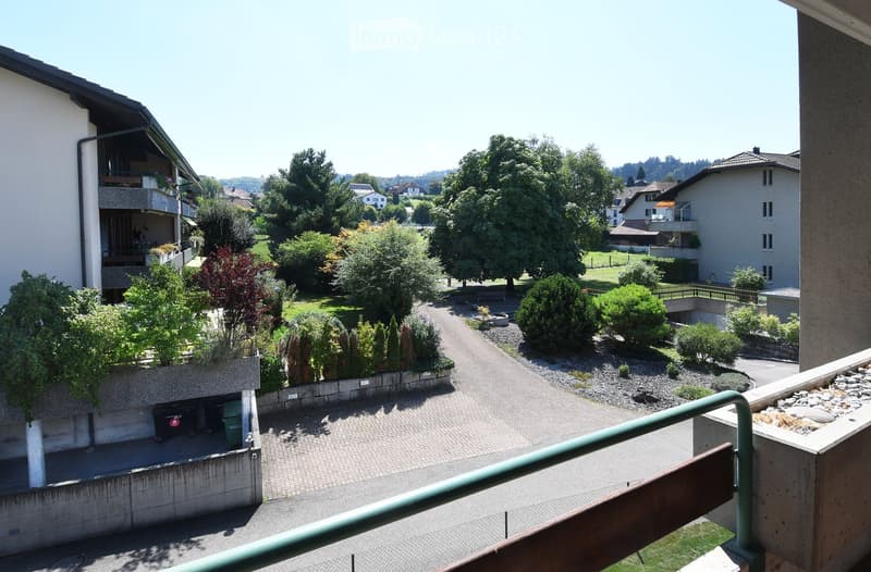 driveway, shrubs, trees, bushes, green railing, paved path, apartment building, balcony