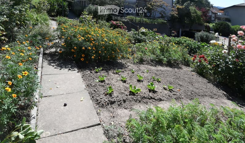 various flowers and plants, pathway on side, grass and soil area in middle