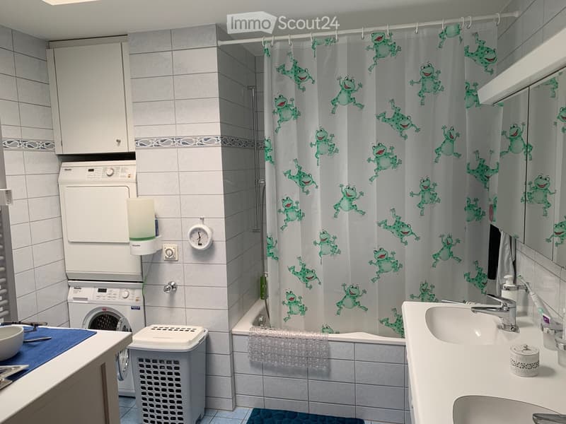 Bathroom with a white tiled wall, a bathtub with a green frog shower curtain, a sink with a faucet, a washing machine, and a small cabinet.