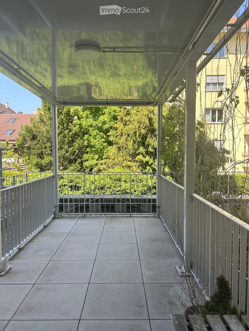 Modern balcony with concrete floor, glass roof, metal railings, and small potted plants.