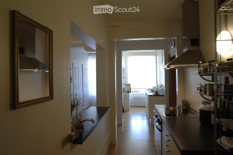 A well-lit hallway leading to a modern kitchen area with stainless steel appliances, wooden flooring, and a decorative plant on a shelf.