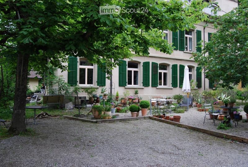 Courtyard with gravel ground, multiple potted plants, outdoor furniture including tables and chairs, large tree providing shade, building with green shutters in the background.