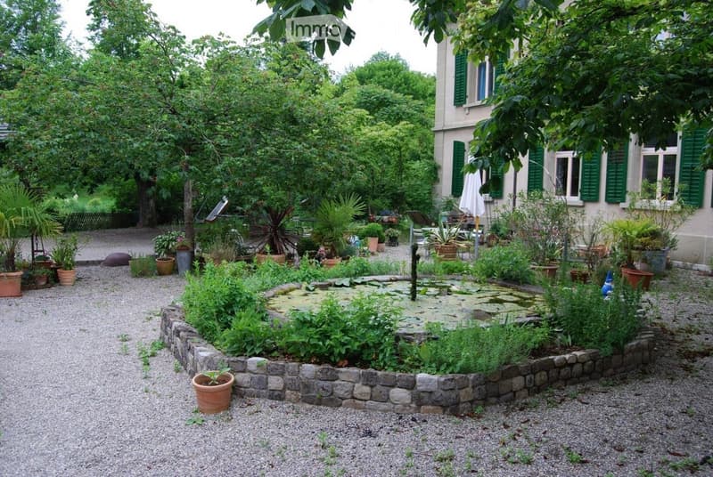 Garden with a pond surrounded by plants and potted flowers, gravel pathway, and a house with green shutters in the background.