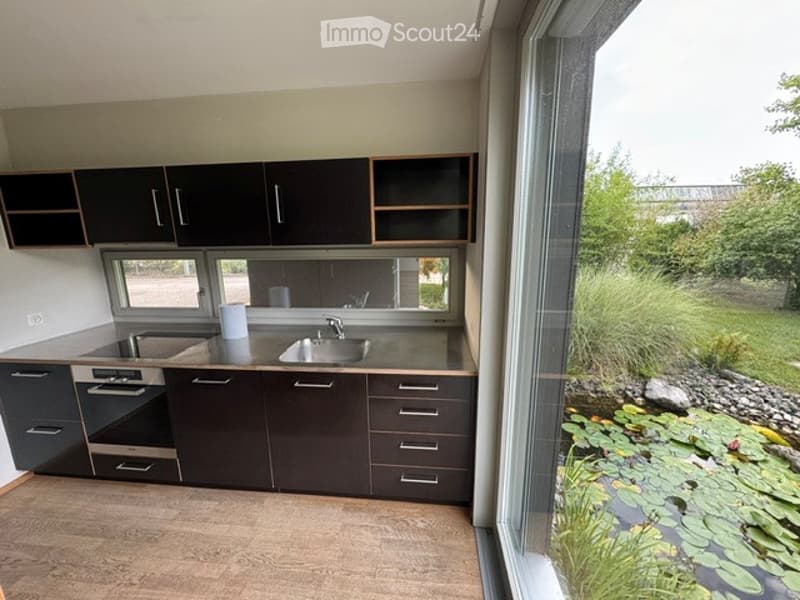 Modern kitchen with dark cabinets, stainless steel sink, and built-in oven. Large windows offer a view of a garden with a pond and lily pads.
