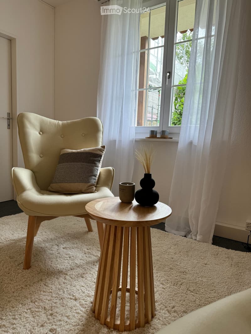 Helles 1.5-Zimmer-Büro an der Hauptstrasse in Frick (11)