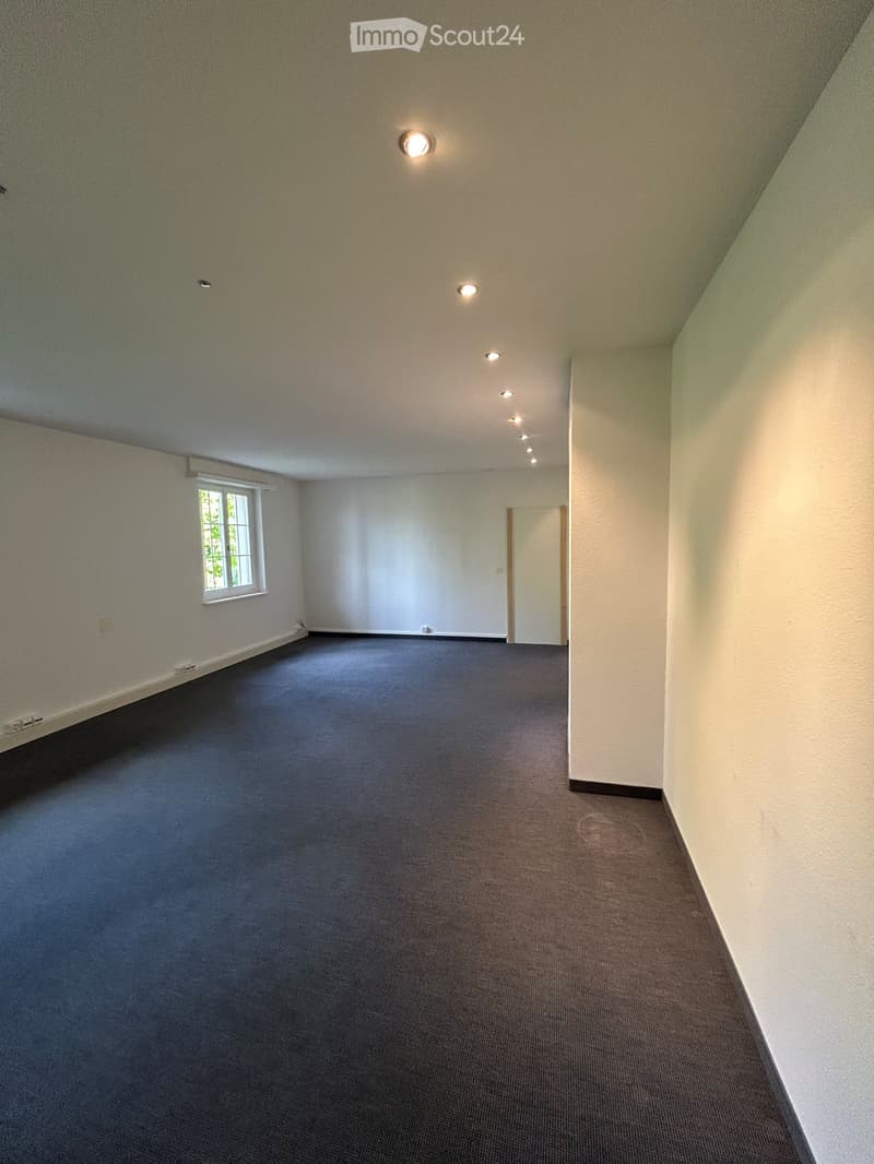 Empty room with bare walls, carpeted floor, and a single window with a view of greenery. No furniture or equipment is present.
