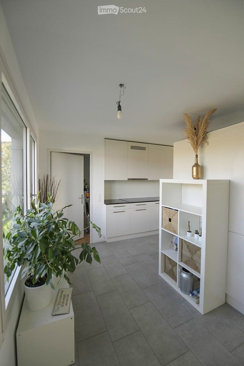 Bright, modern kitchen area with white cabinets, a shelf unit with decorative items, and potted plants near the window.