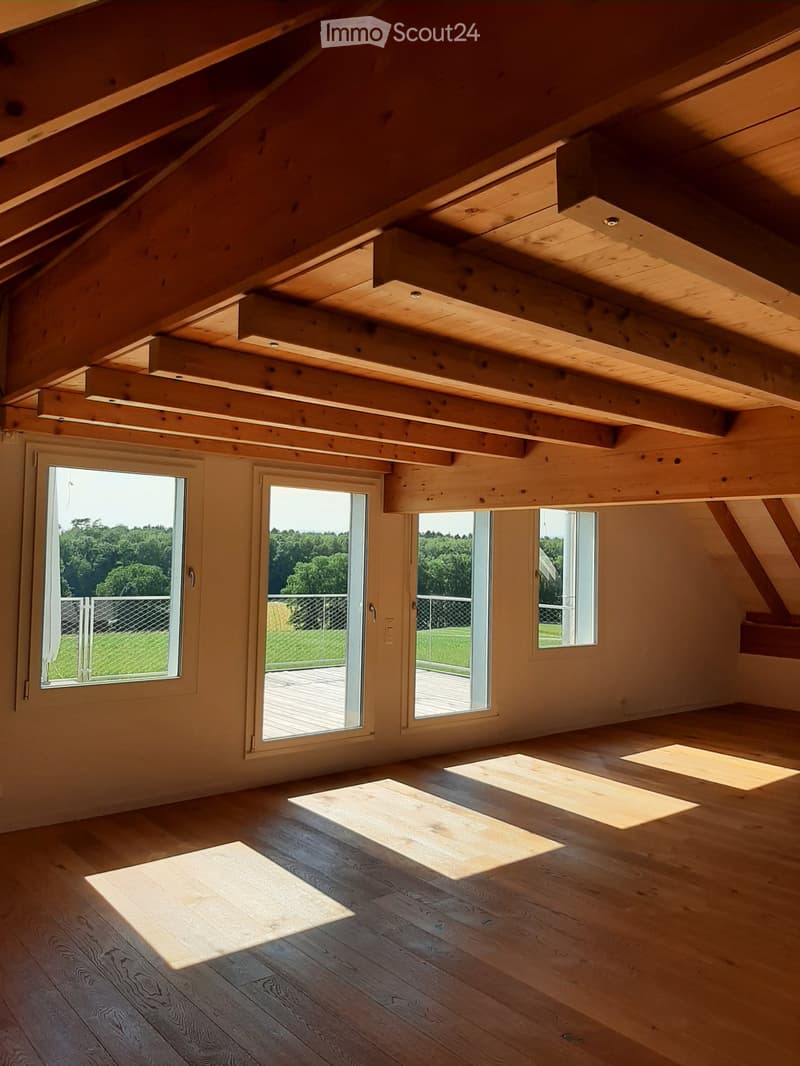 Bright, empty attic space with wooden beams and exposed ceiling, large windows with views of greenery, and wooden flooring.