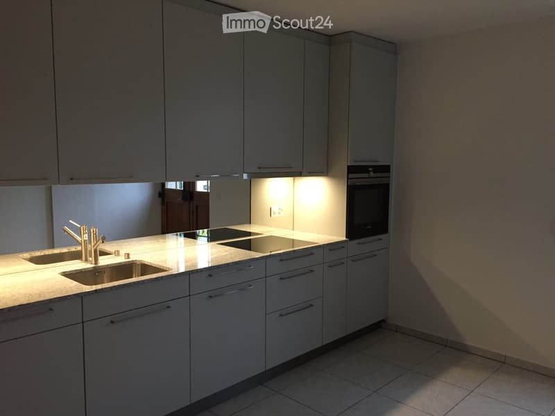 Modern kitchen with light grey cabinets, marble countertop, double sink, and built-in oven.