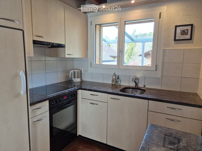 Modern kitchen with white cabinets, black countertops, stainless steel sink, oven, and electric kettle. Features a window with a view of the roof and trees.