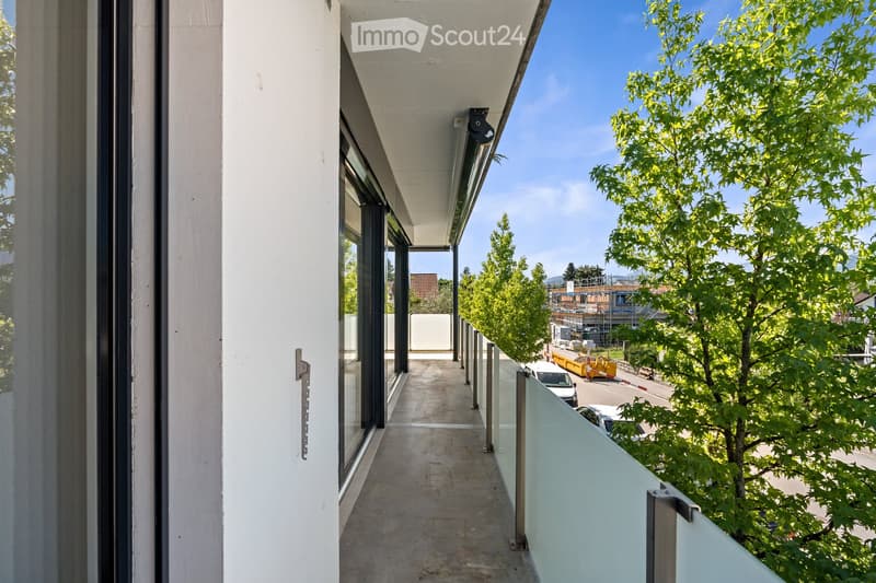 Modern balcony with glass railings, concrete floor, and a view of a tree-lined street and parked cars.