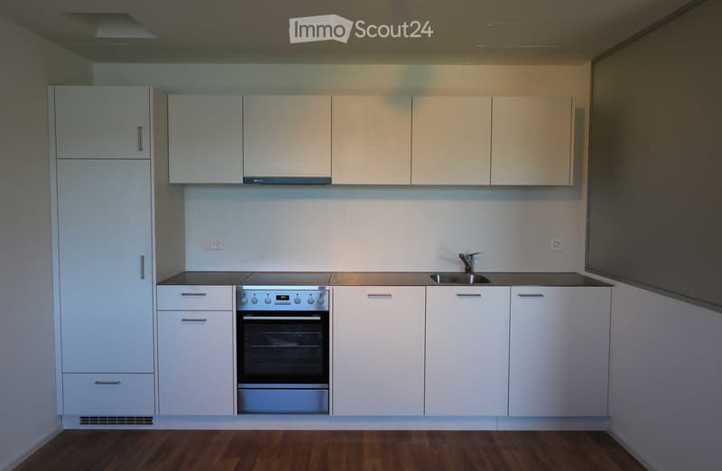 Modern kitchen with white cabinets, stainless steel oven, and sink, featuring a wooden floor and sleek design.