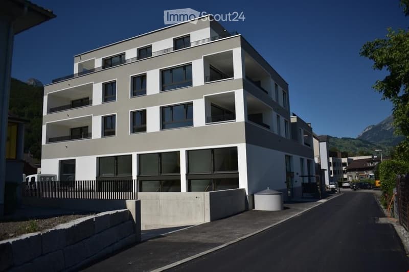 Wunderschöne, top moderne 2,5-Zimmer Wohnung mit Galerie (2)