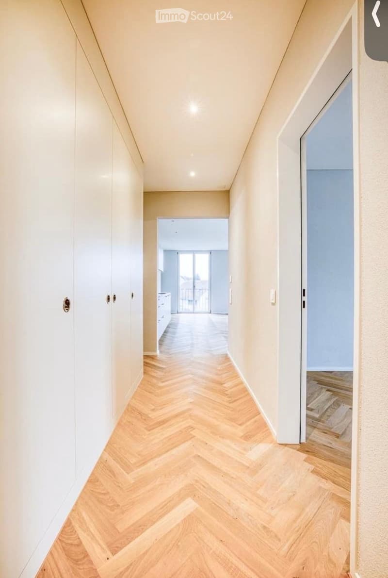 Modern hallway with herringbone wooden flooring, white built-in wardrobes, recessed lighting, and a view into an adjacent room with large glass doors leading to a balcony.