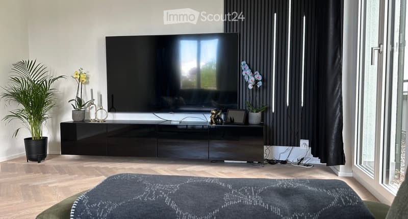 Modern living room with a large flat-screen TV mounted on the wall, a sleek black TV stand, decorative plants, candles, and a grey rug on the wooden floor.