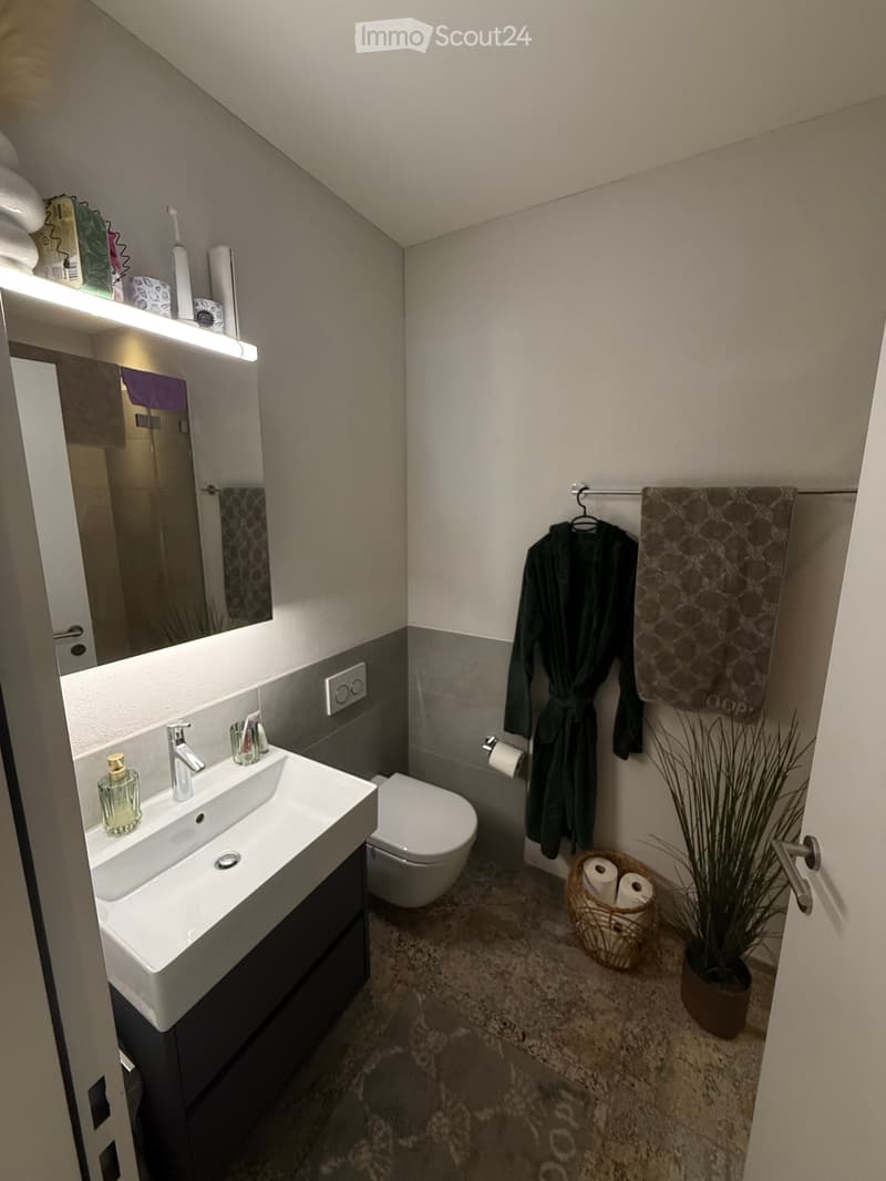 Modern bathroom with a white sink, chrome faucet, toilet, mirror, and a dark-colored bathrobe hanging on a rack. A small plant in a pot and a basket with toilet paper are also visible.