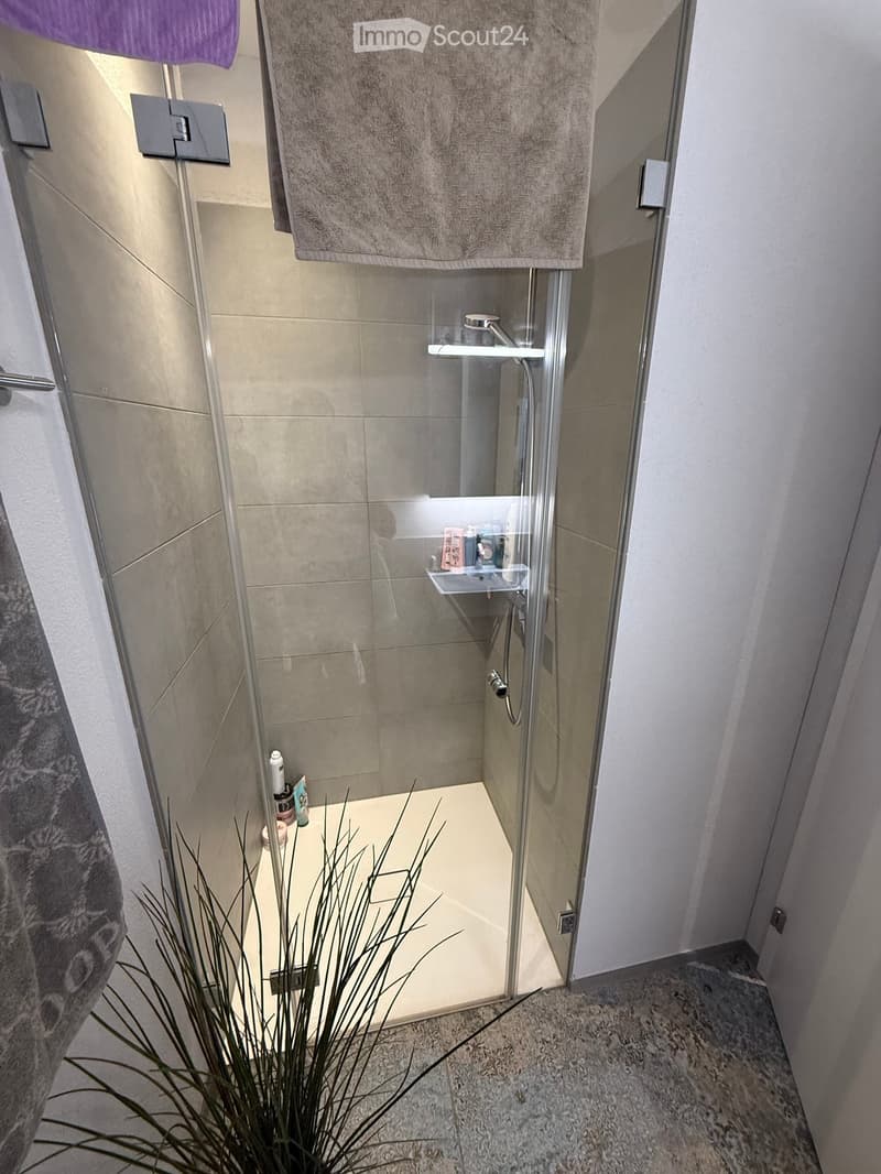 Modern bathroom with a glass-enclosed shower, tiled walls, and a towel hanging on a rack. A small plant is placed on the floor near the shower entrance.