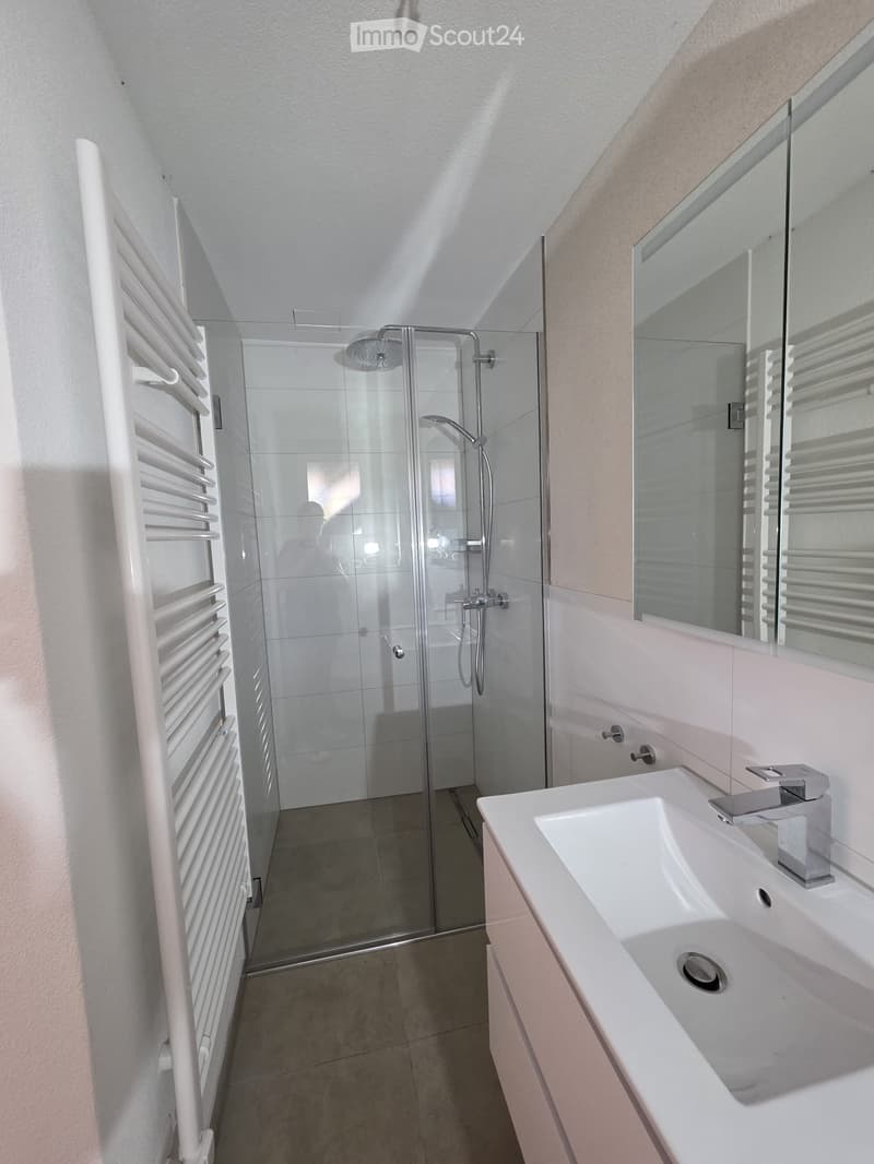 Modern bathroom with a white sink, chrome faucet, large mirror, glass-enclosed shower, and a white radiator on the wall.
